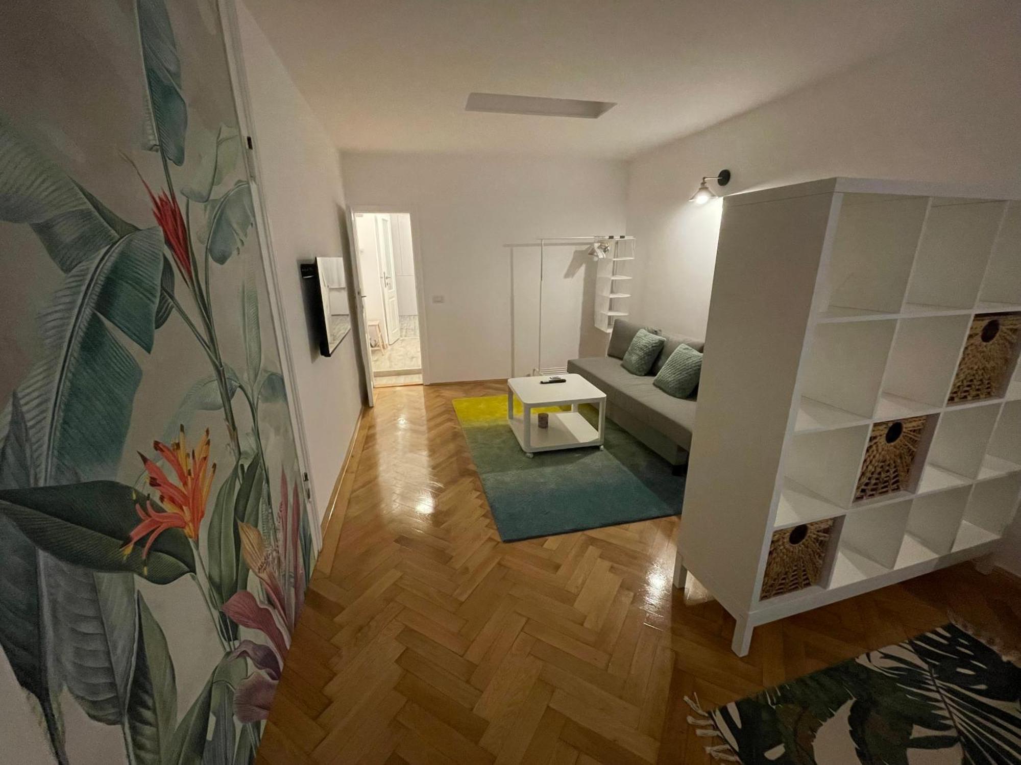 Cozy Stay Брашов Экстерьер фото